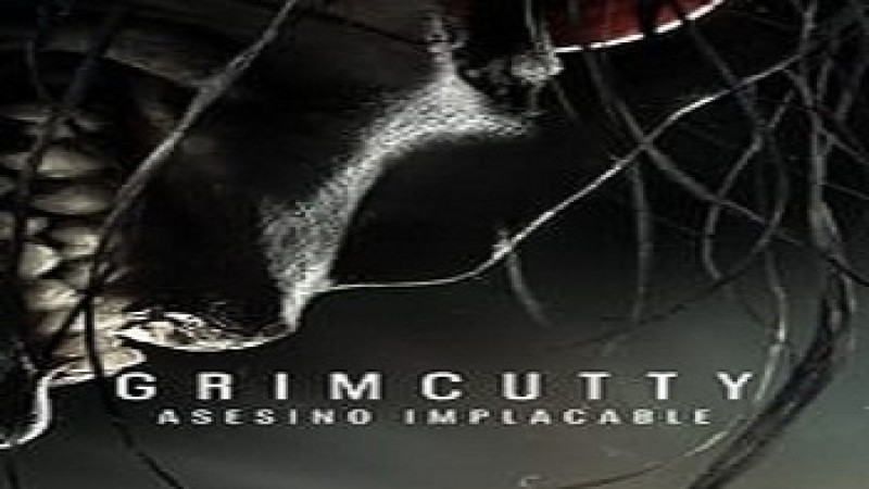 Ver Gratis Película Grimcutty Asesino Implacable En Español Tokyvideo 3233