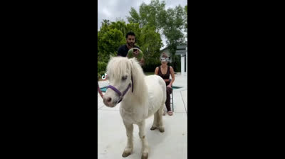 Troleada épica a su novia con una sandía y un pony