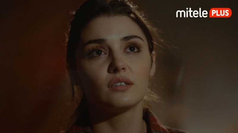 Love Is In The Air Episodio 102
