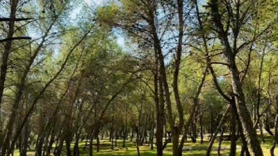 Let Discover Jordan Together (1)